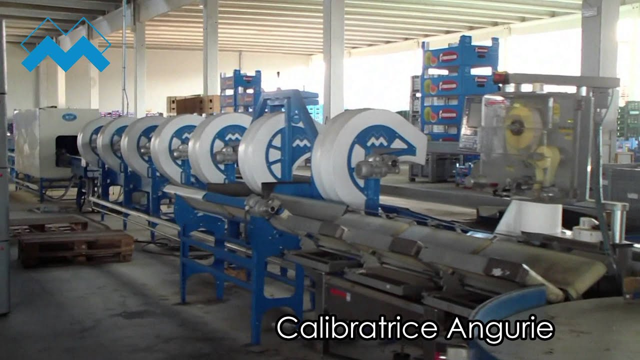 Meccanica Malavasi, Calibratrice Angurie, Cocomero, Watermelon's, Sandia