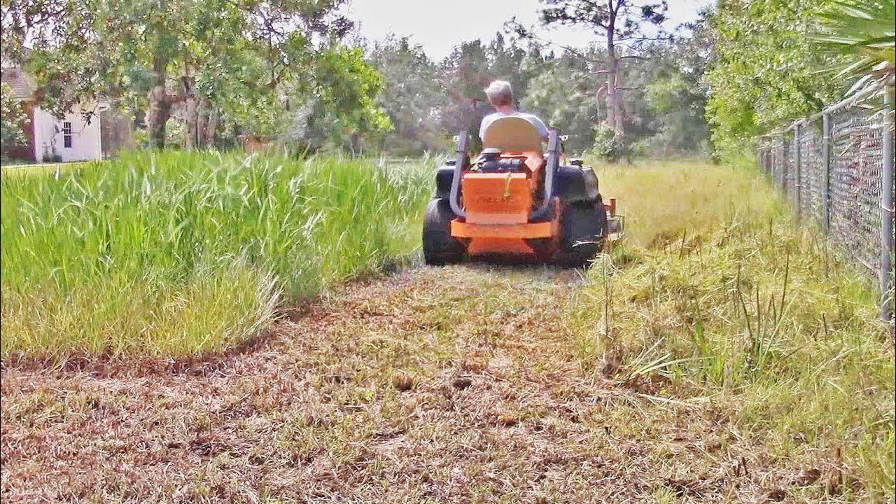 Correct sound timelapse mowing an overgrown giant yard