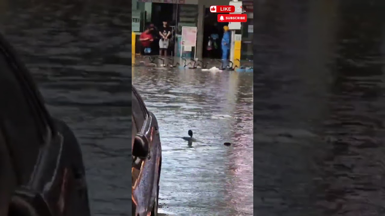 Heavy flooding in Wuhan, China 🇨🇳 (22.05.2025) (Part 1/1)
