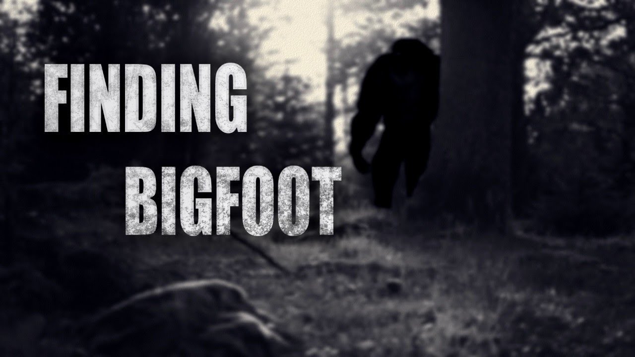 Finding BigFoot - New Update!!!