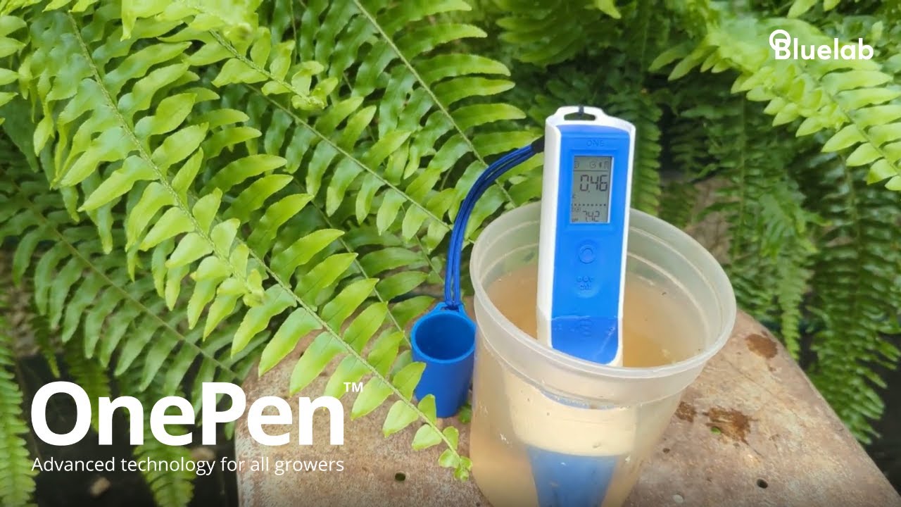 Precision Growing Made Easy: Bluelab OnePen&trade; in action at Collier's Greenhouse