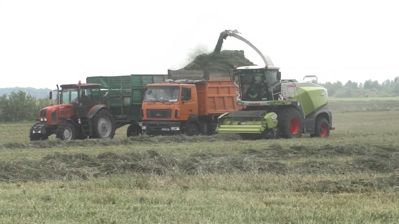 ЗЕЛЕНАЯ МОЩЬ 2025: Claas Jaguar РВЕТ! John Deere 8R и МТЗ-3522 на пределе!