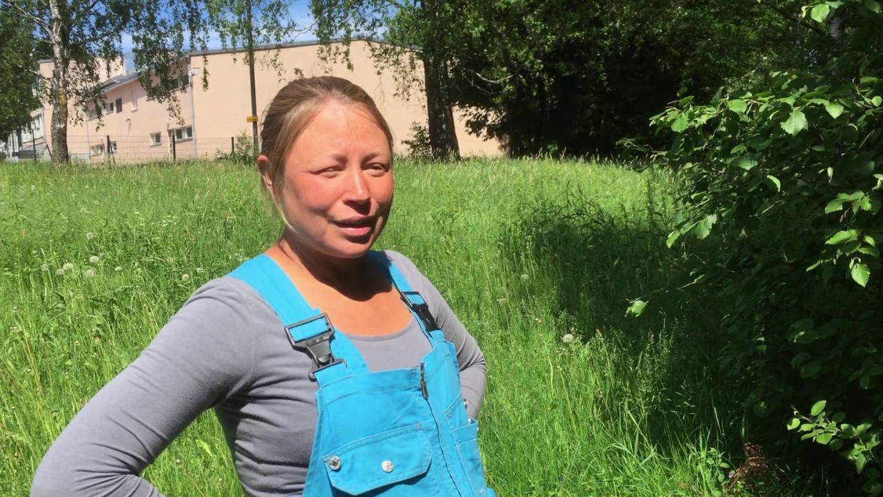 Perho Green City Farm - Lehti- ja talvikaalit
