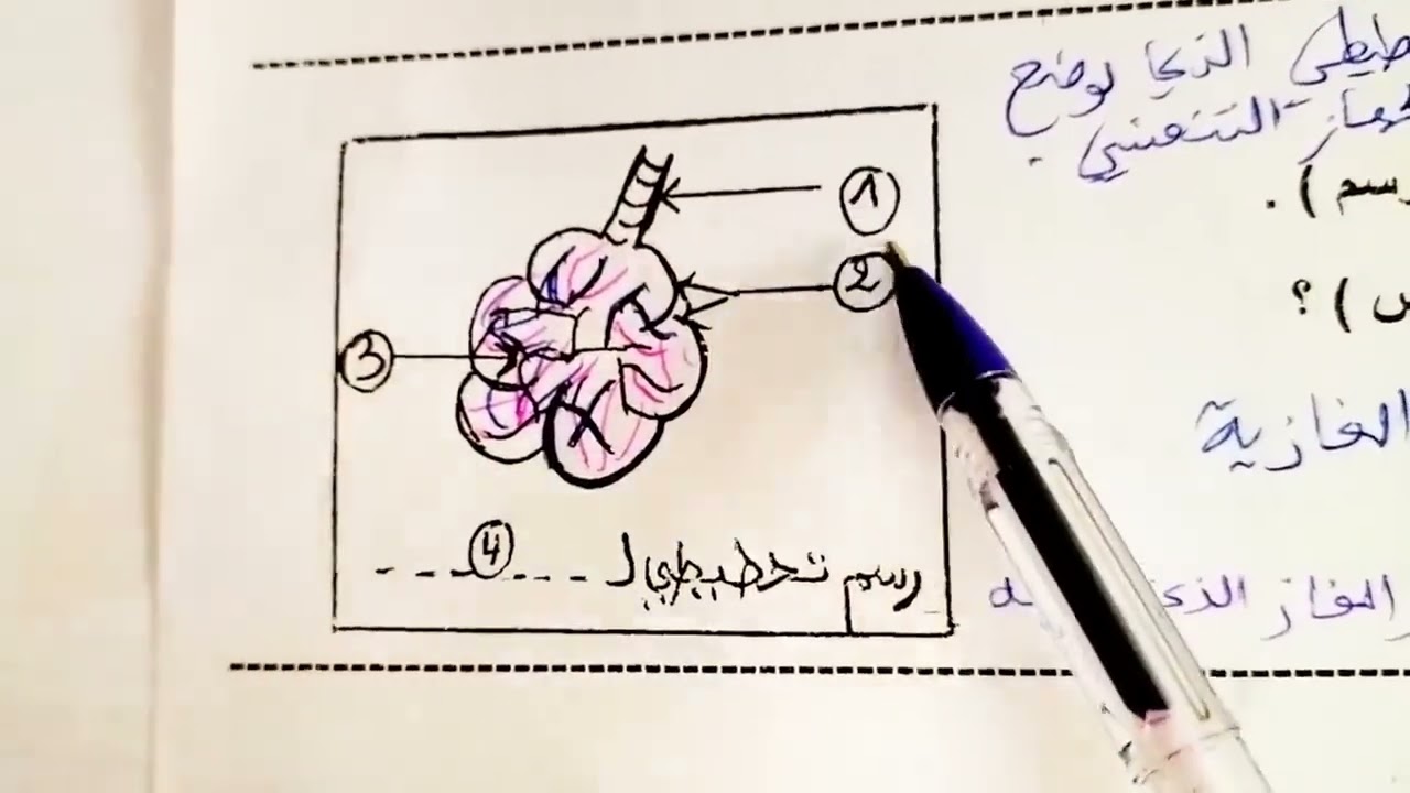 اختبار الفصل الثاني سنة اولى متوسط علوم طبيعية مع الحل