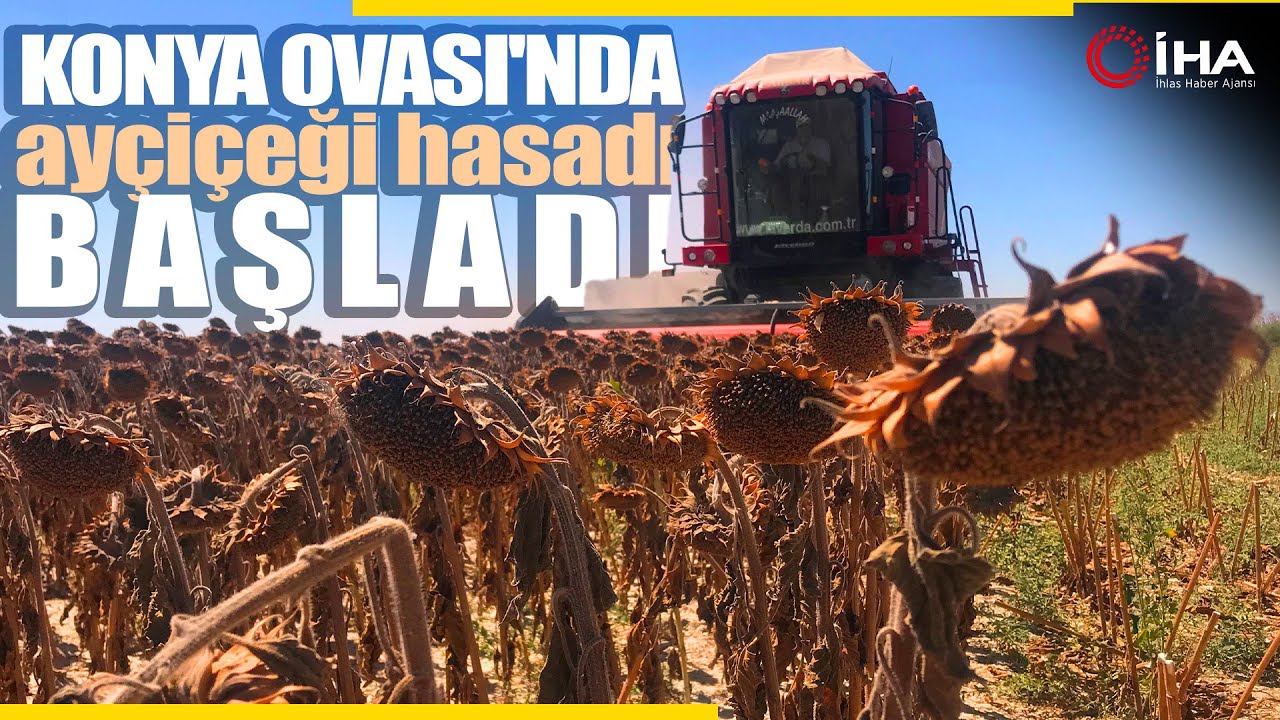 Konya Ovası’nda 