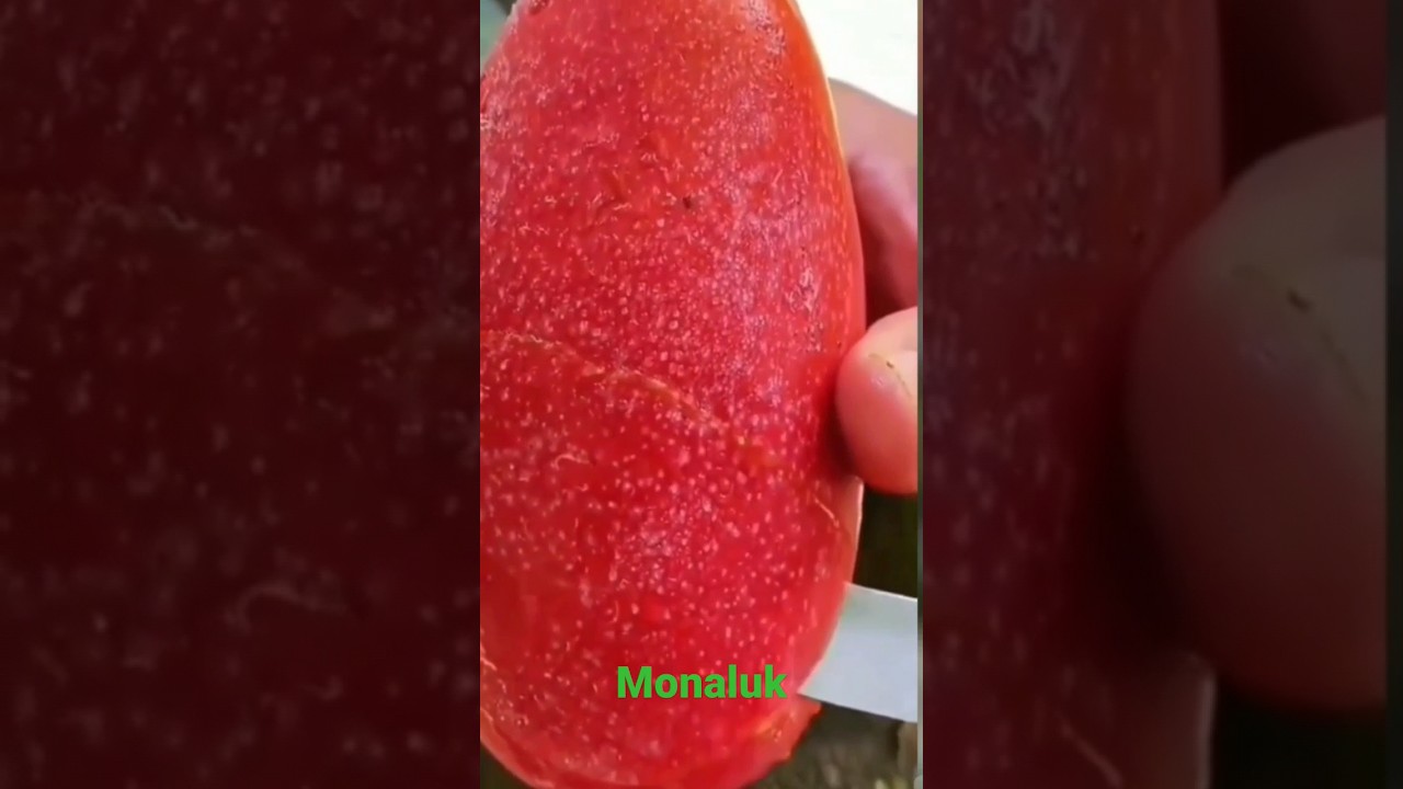 #shorts #fruit #fruitlover