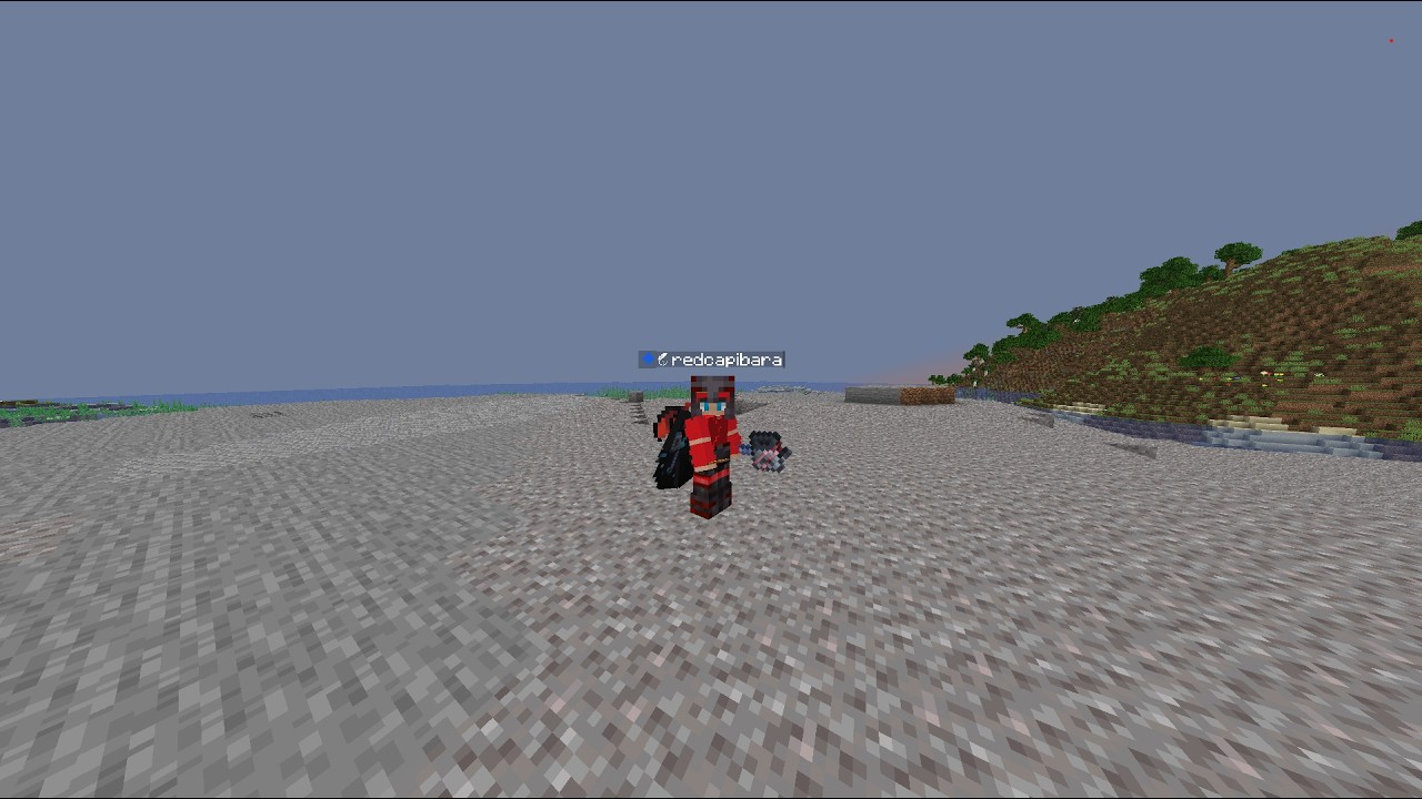 elytra macing montage