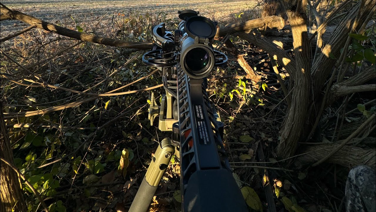 Trying out my new Ravin R500