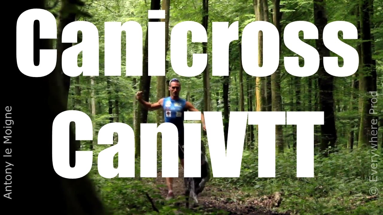 FAQ - CANICROSS / CANIVTT