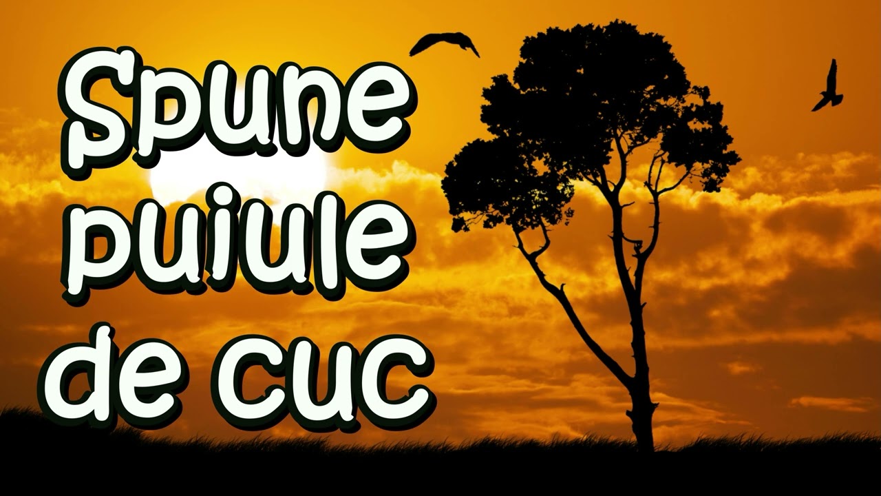 Romica Ibanescu - Spune unde-s anii mei