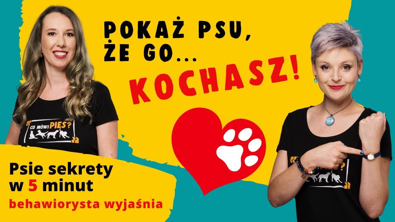 Jak okazać psu miłość? Poznaj 5 skutecznych sposob&oacute;w