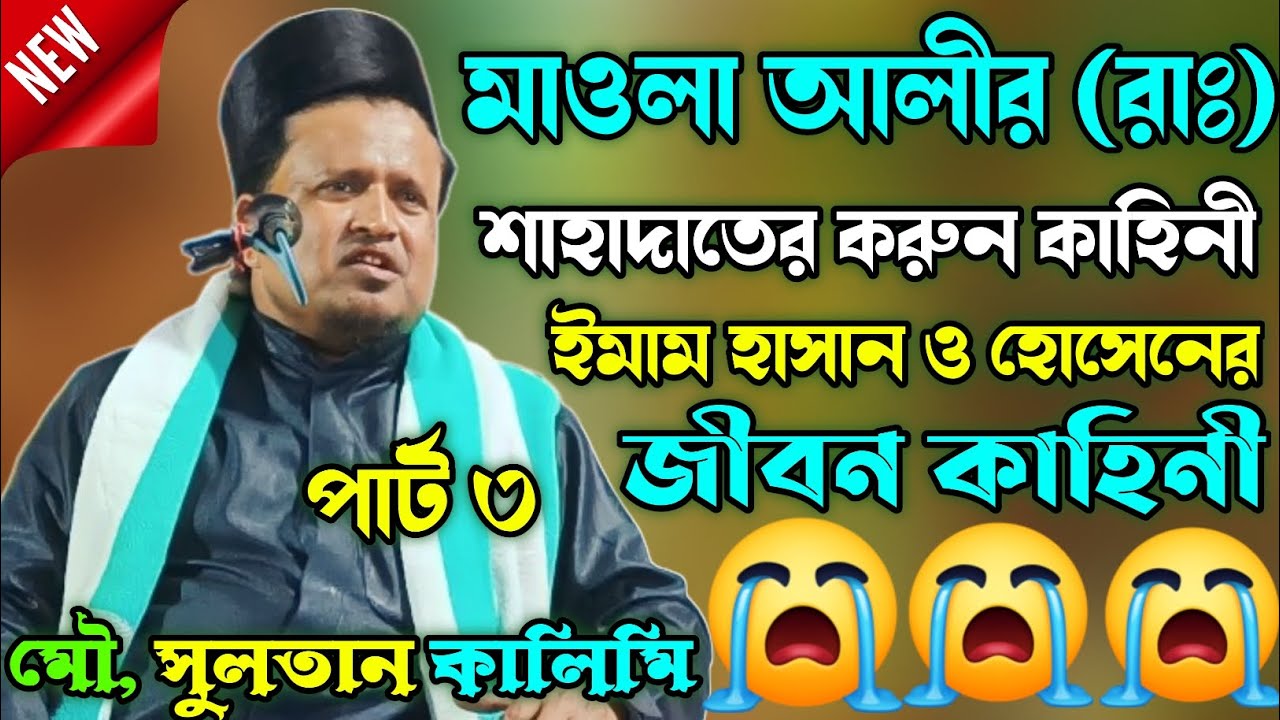মাওলা আলীর শাহাদাতের করুন কাহিনী | part 3 | ইমাম হাসান ও হোসেনের | sultan maulana jiboni jalsa
