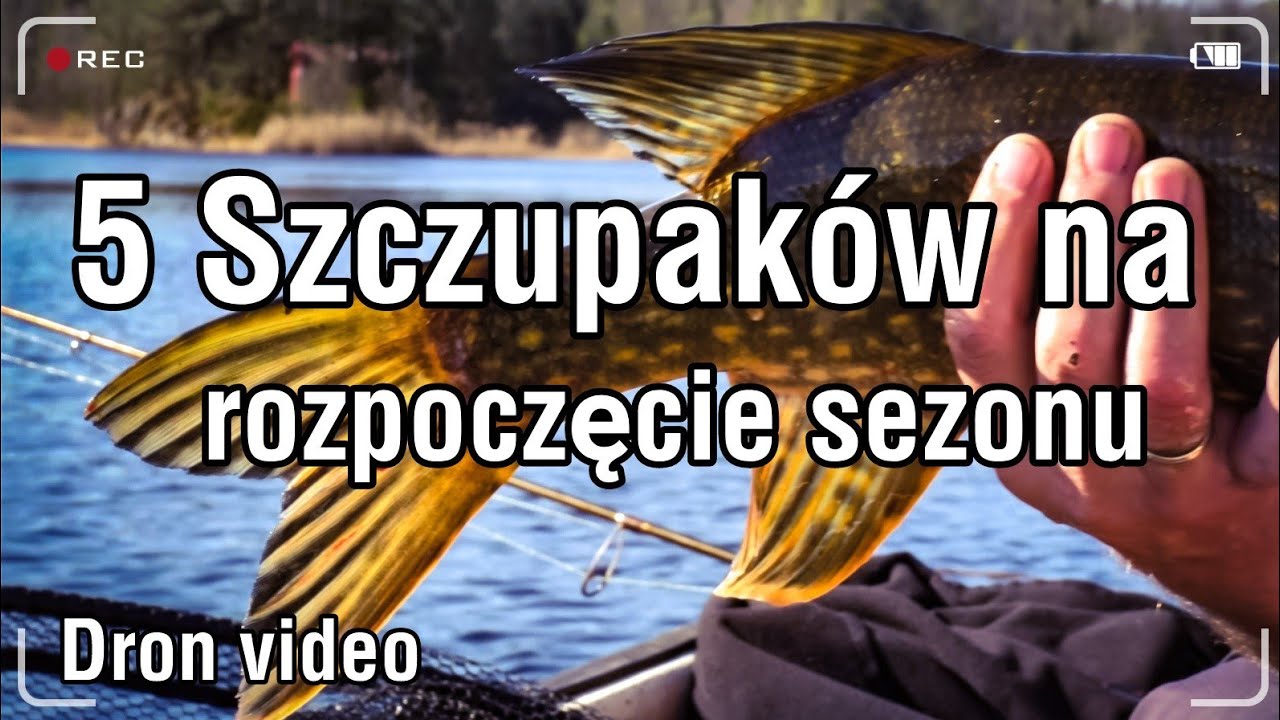 ‼️5 Szczupaków❗majówka 2022 / szczupaki z norweskiego jeziora #szczupak #wędkarstwo #norwegia #dron