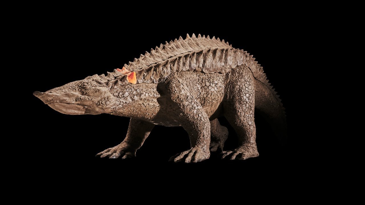 Before Ankylosaurs, There Were Aetosaurs