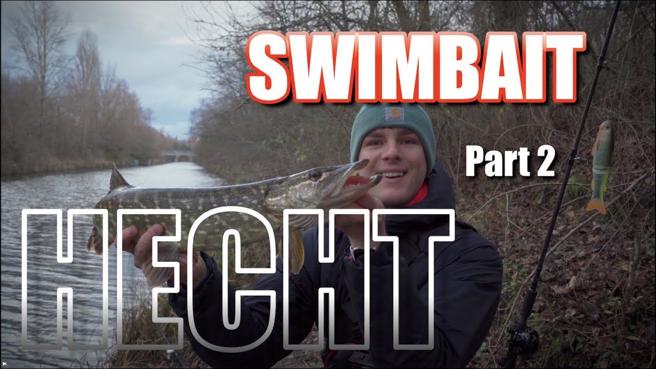 SWIMBAIT auf HECHT - Part 2 | LIVEBISS!!!