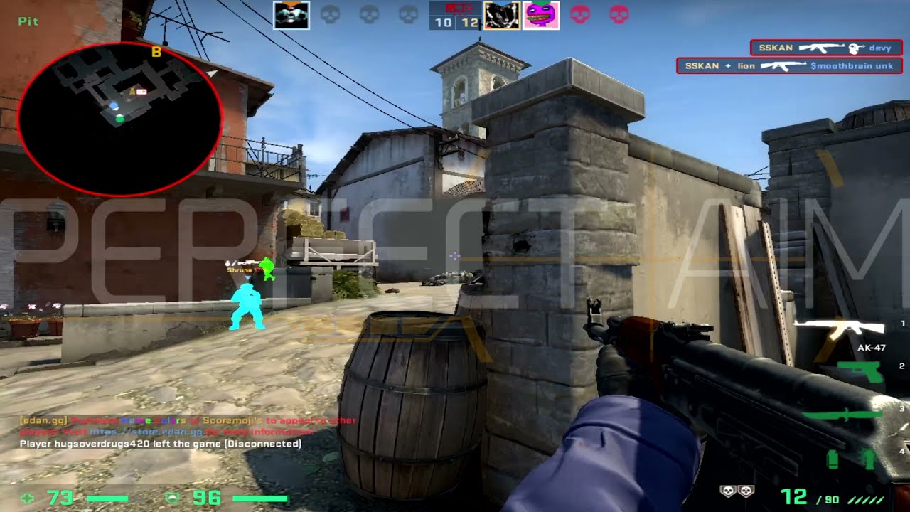 CS:GO Chams | PerfectAim