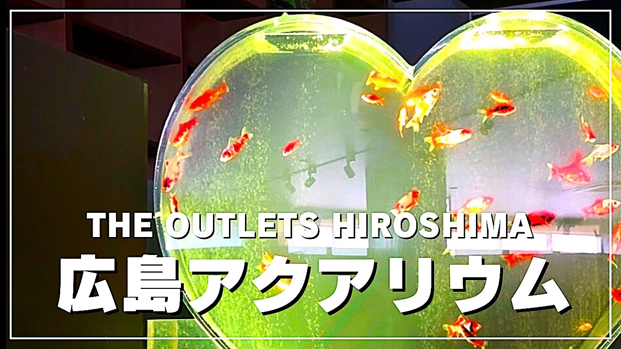 金魚アクアリウム鑑賞が楽しくて仕方ない（大人700円必ず用意です）