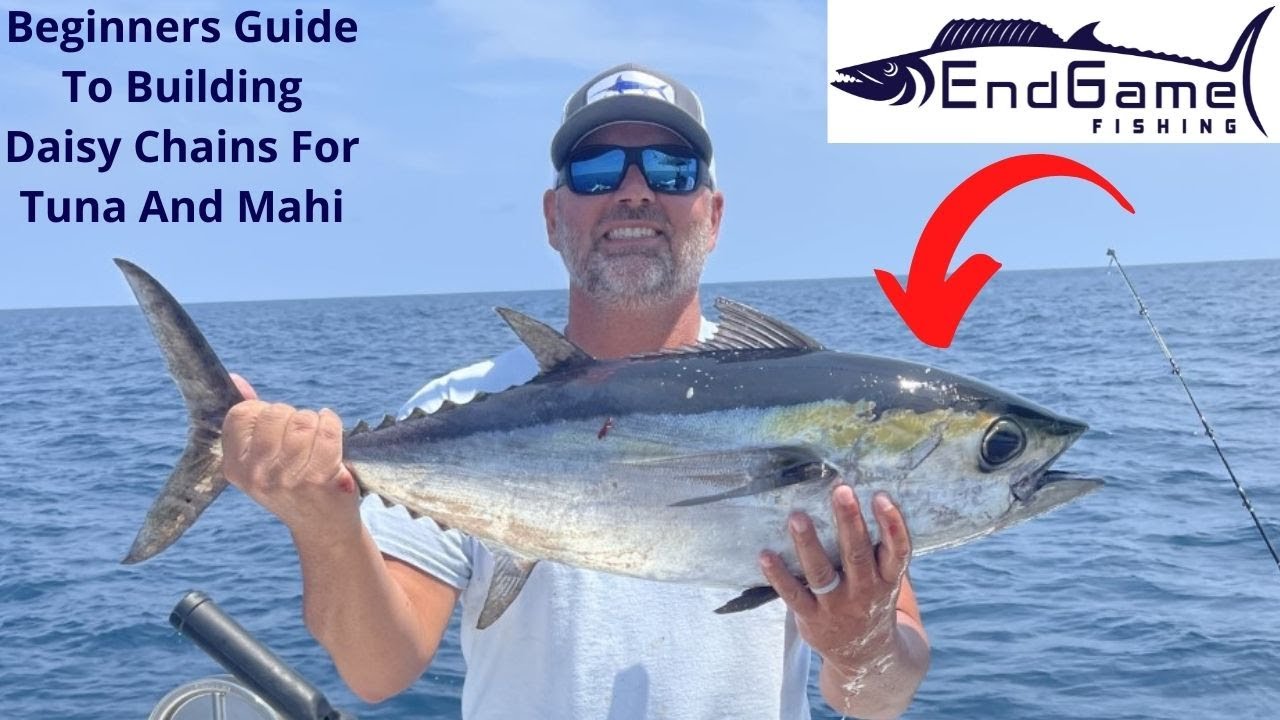 Beginners Guide To Building Daisy Chains for Tuna and Mahi!