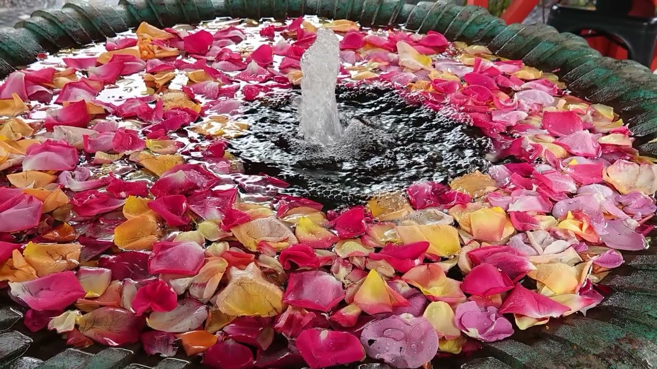 Jardin Anima - Garten von André Heller in Marokko (Maroc, Morocco)