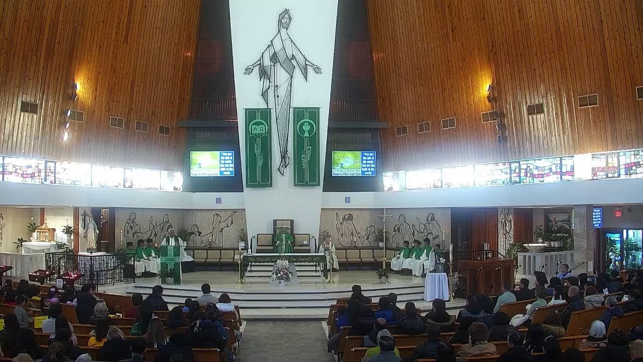February 8, 2026 -  FIFTH SUNDAY IN ORDINARY TIME YR A