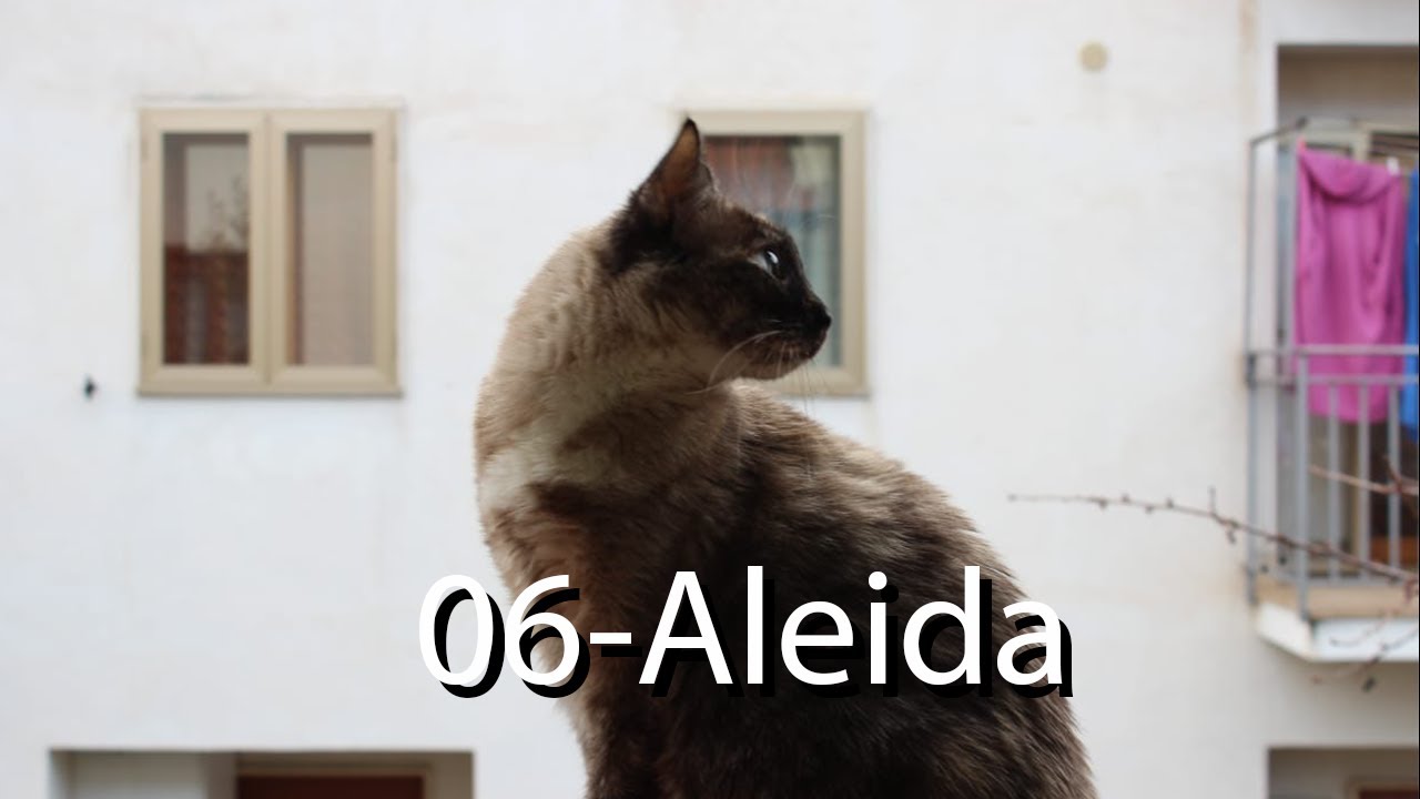 Innerwiews-06-Aleida