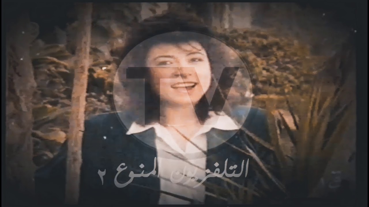 التلفزيون المنوع TV 2