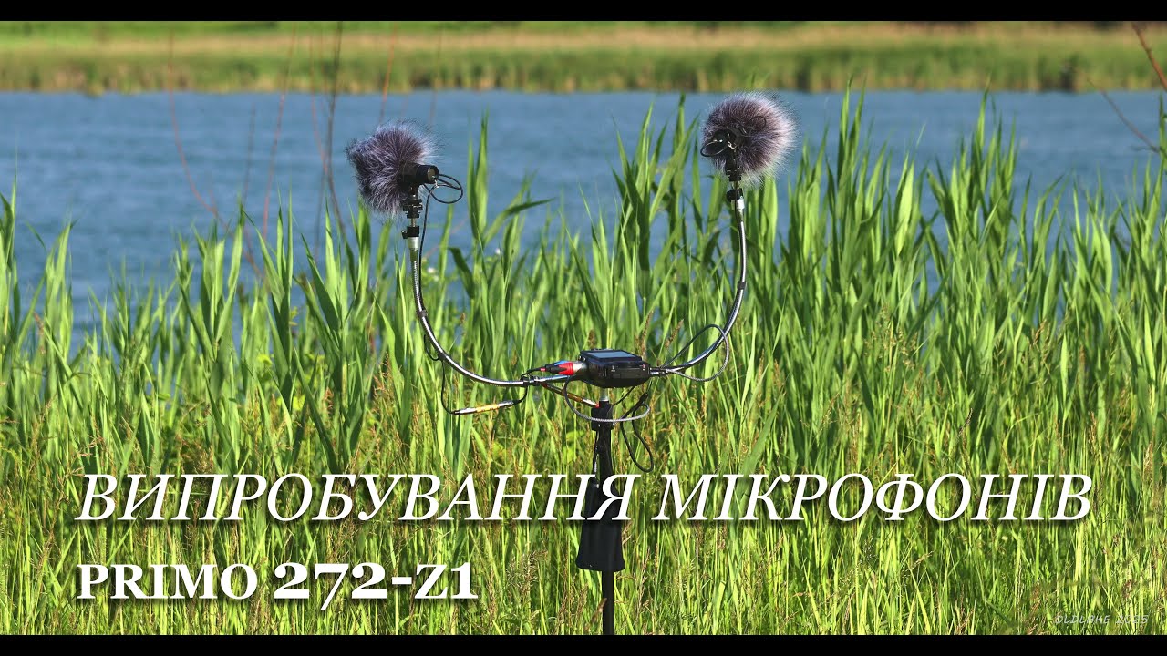 ВИПРОБУВАННЯ САМОРОБНИХ МІКРОФОНІВ. Primo EM272-Z1. Звуки природи. Червень 2025