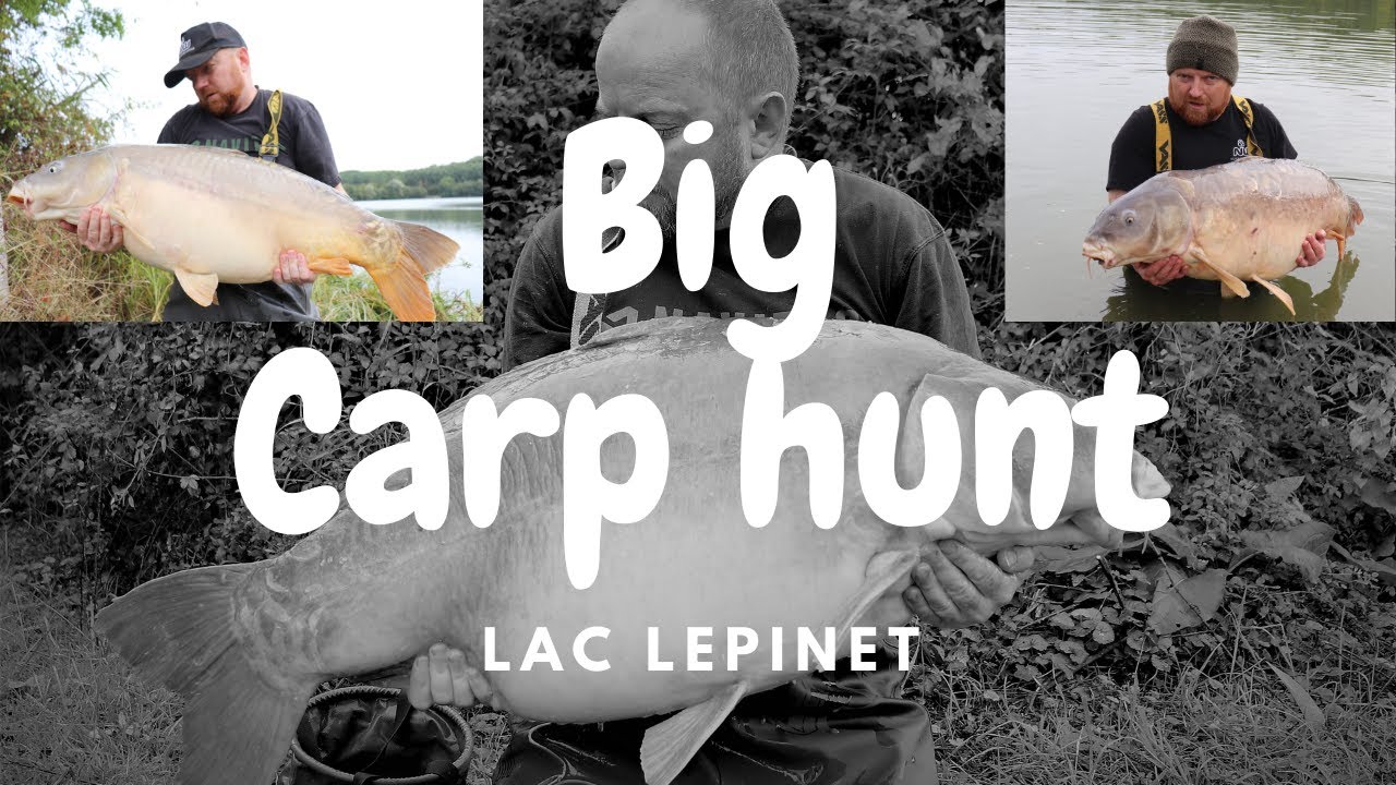 Lac Lepinet carp fishing in France