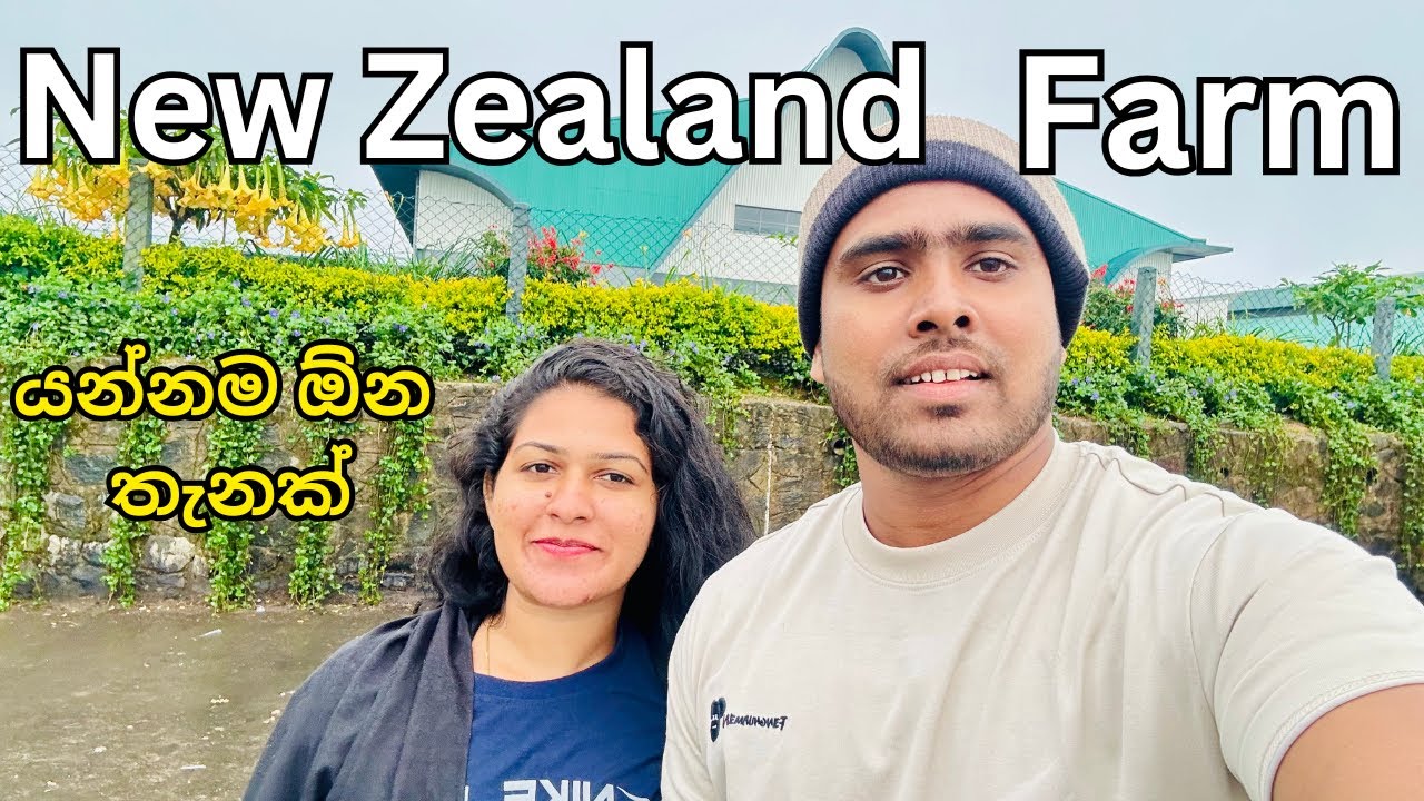 නිව්සීලන්ඩ් ෆාම් අබේවෙල සවාරිය, Travel in New Zealand Farm abewela