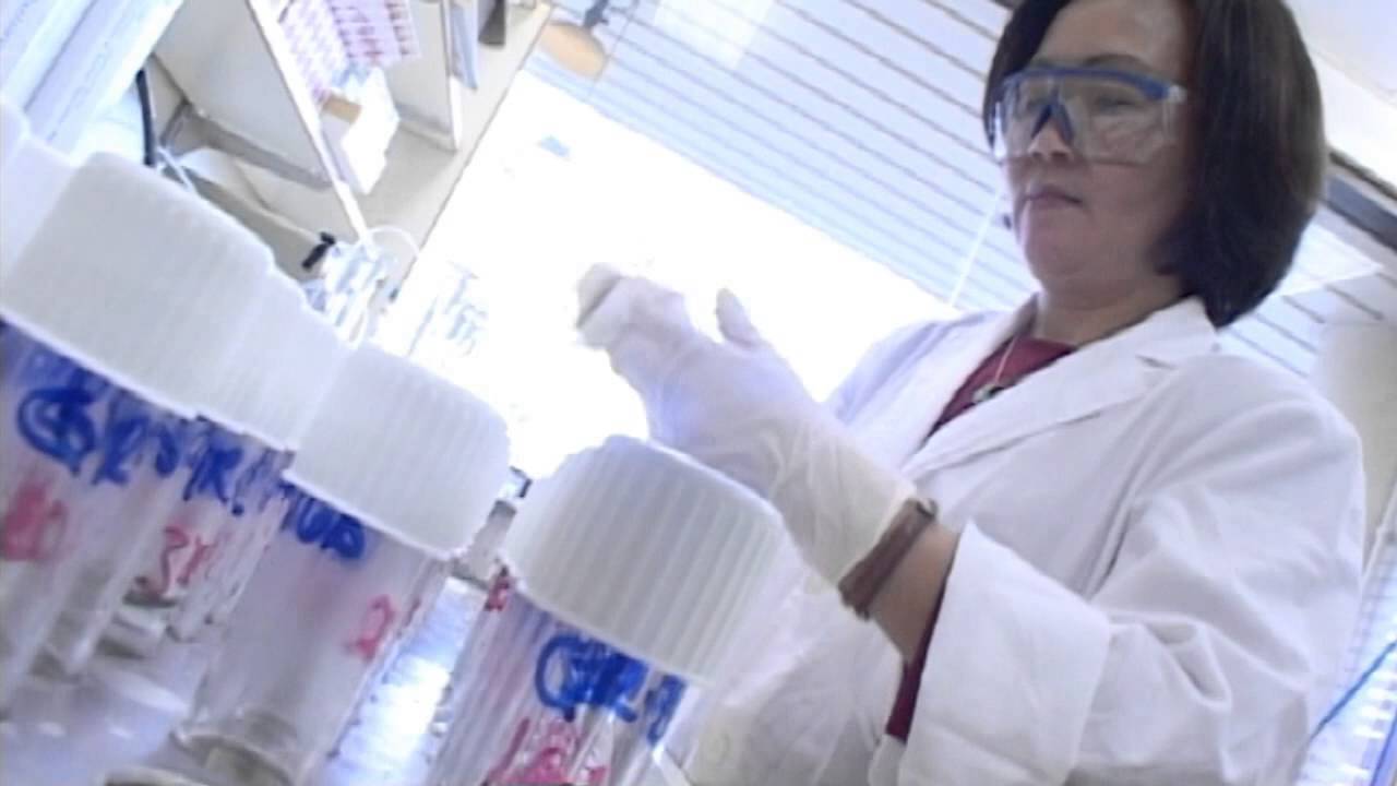 Laboratory Technician - Try it for 5