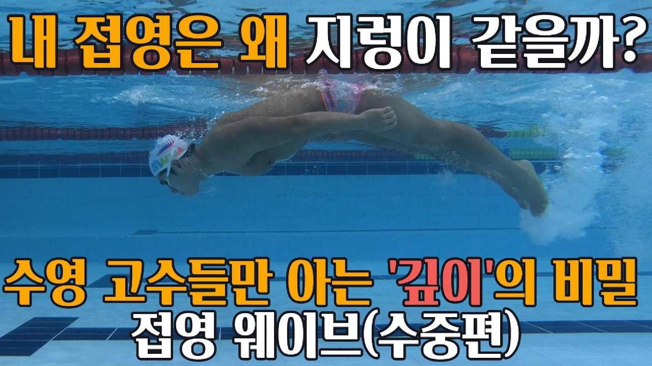 내 접영은 왜 지렁이 같을까? 수영 고수들만 아는 '깊이'의 비밀! 당신은 아시나요? 접영4단게만에 끝내기 (웨이브:수중편)
