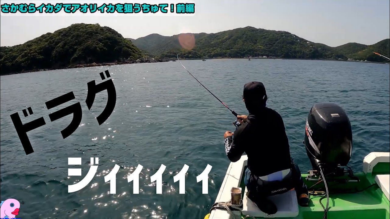[#さかむらイカダ 前編]アジ泳がせてアオリイカ狙ってたらバカでかいのが現れた！船上はパニックになりました。報告もあります。