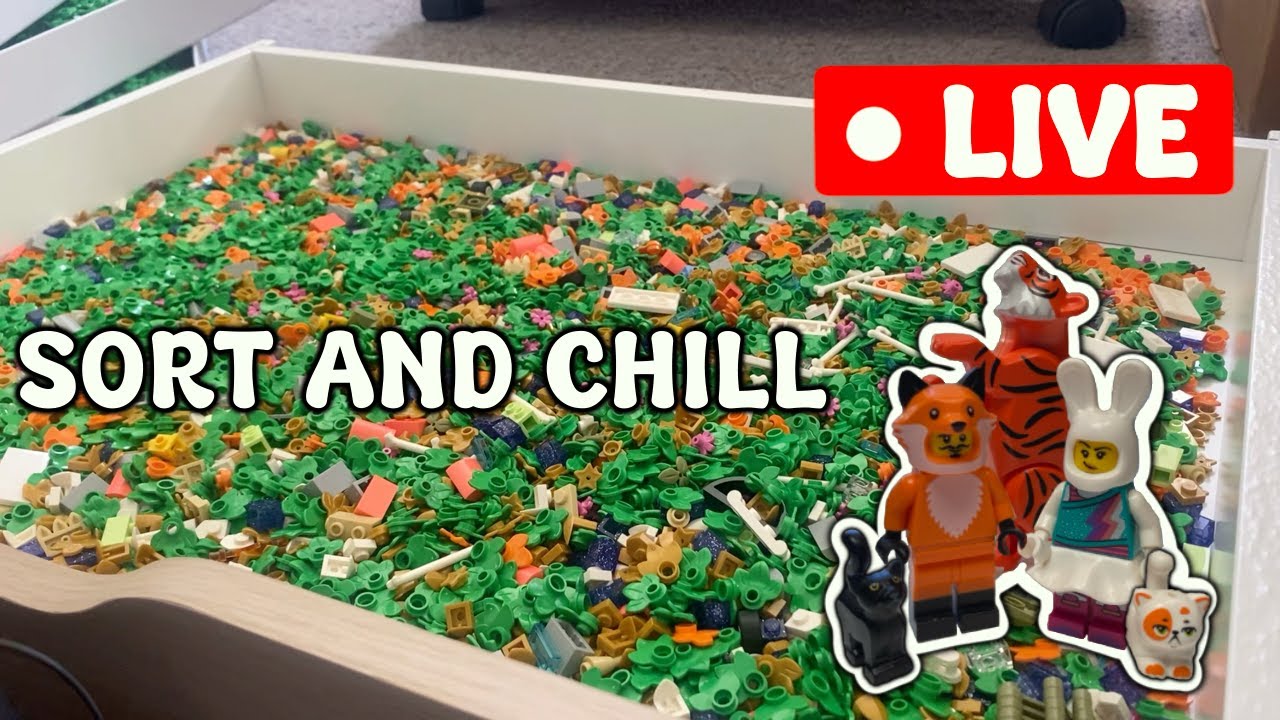 Gotta Sort LEGO Drawers 😭