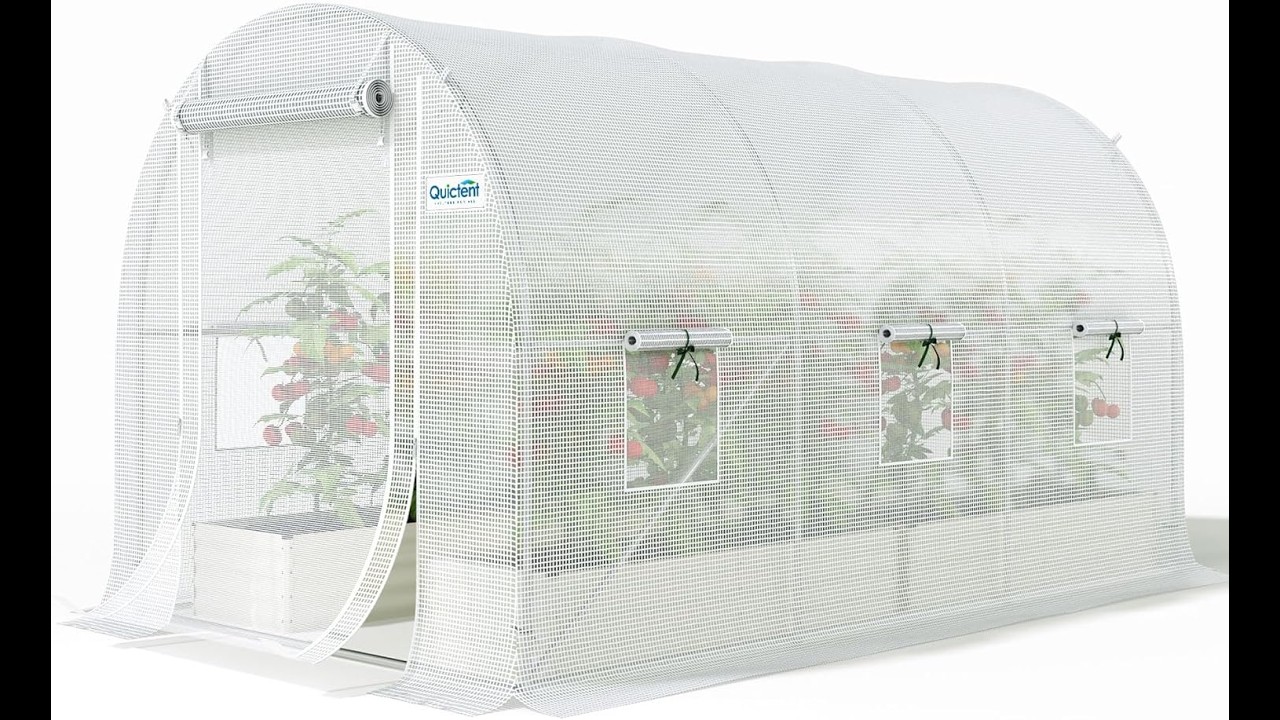 Quictent 10x7x7 Greenhouse Review | Best Walk-in Tunnel for Garden Plants