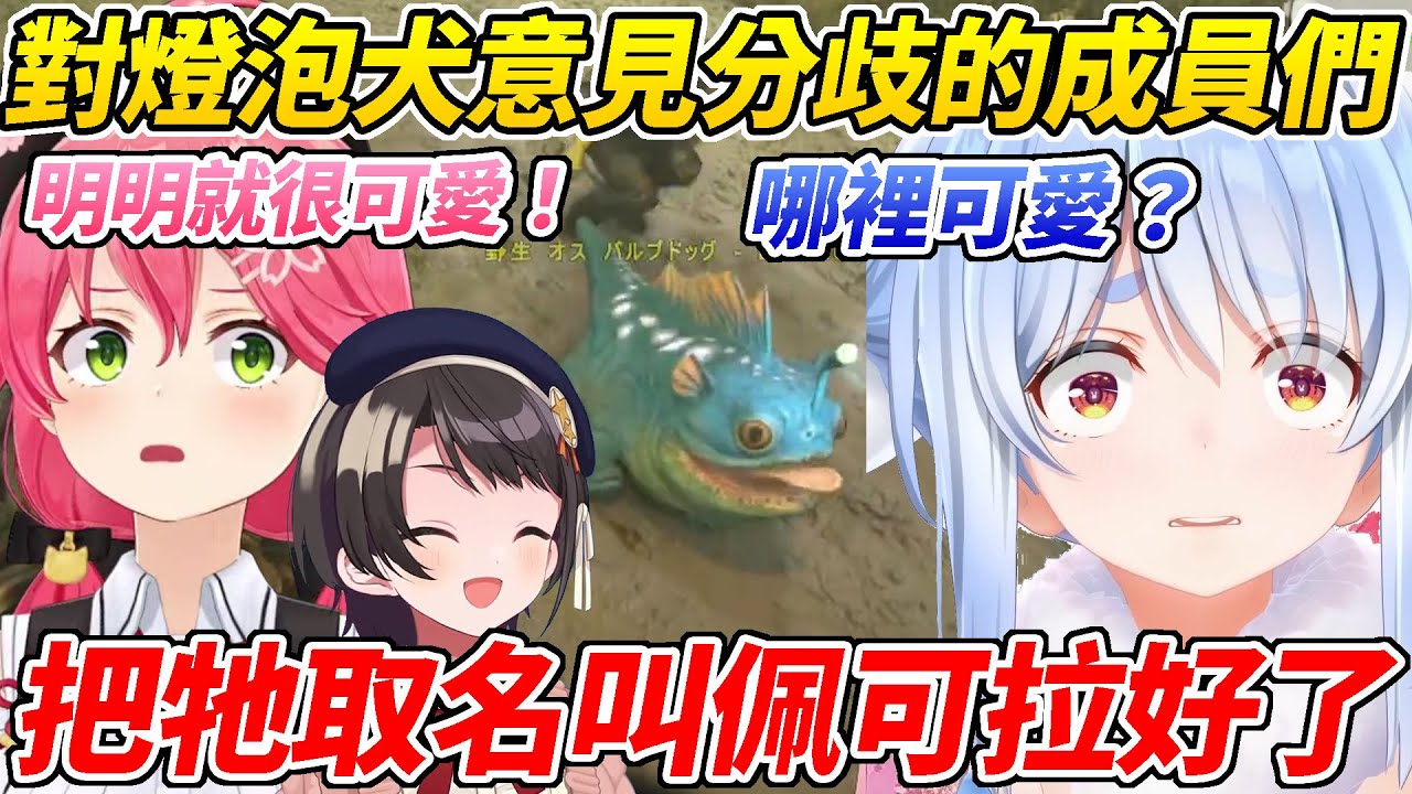 醜or可愛？Holo成員們對燈泡犬的意見出現分歧展開爭論ww【櫻巫女／大空昴／兔田佩可拉／AkiRosenthal／鷹嶺Lui】【HOLOLIVE中文】