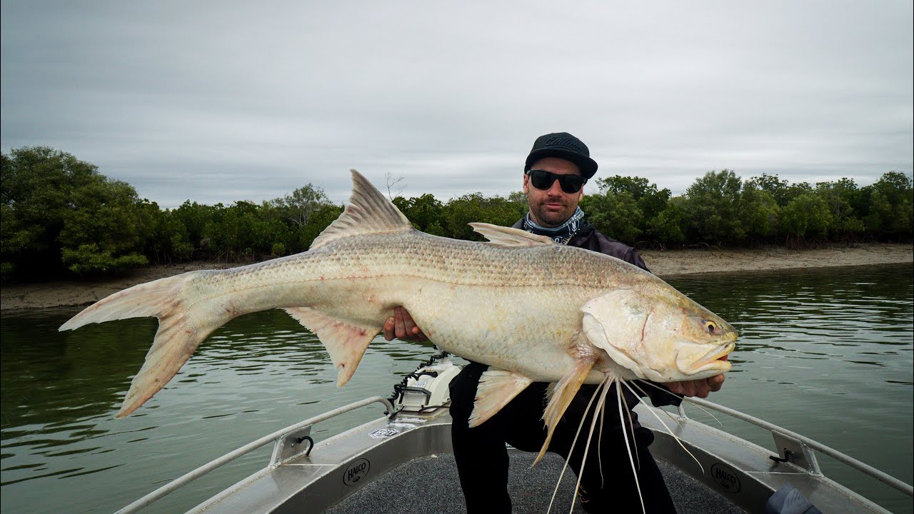 MONSTER THREADFIN SALMON SESSION