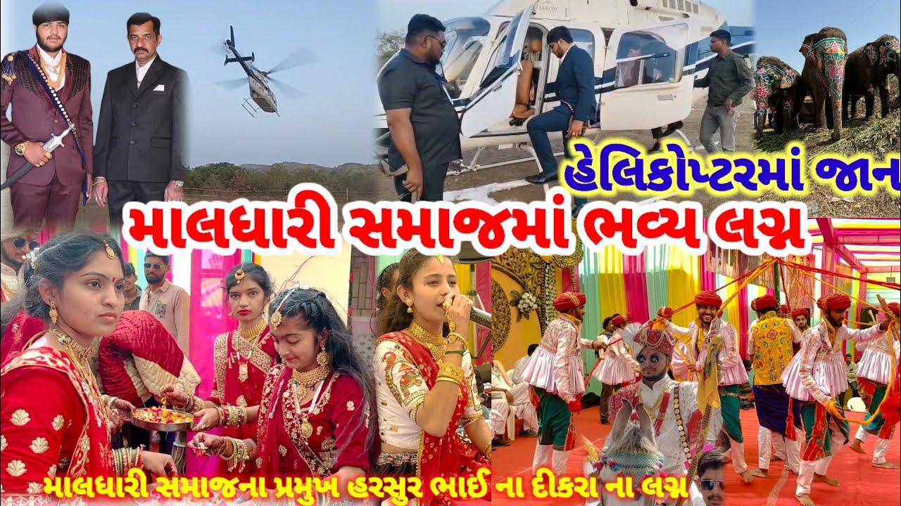 માલધારી સમાજમાં શાહી લગ્ન | માલધારી સમાજના પ્રમુખ હરસૂર ભાઈના દીકરાના લગ્ન | હેલિકોપ્ટર માં જાન |