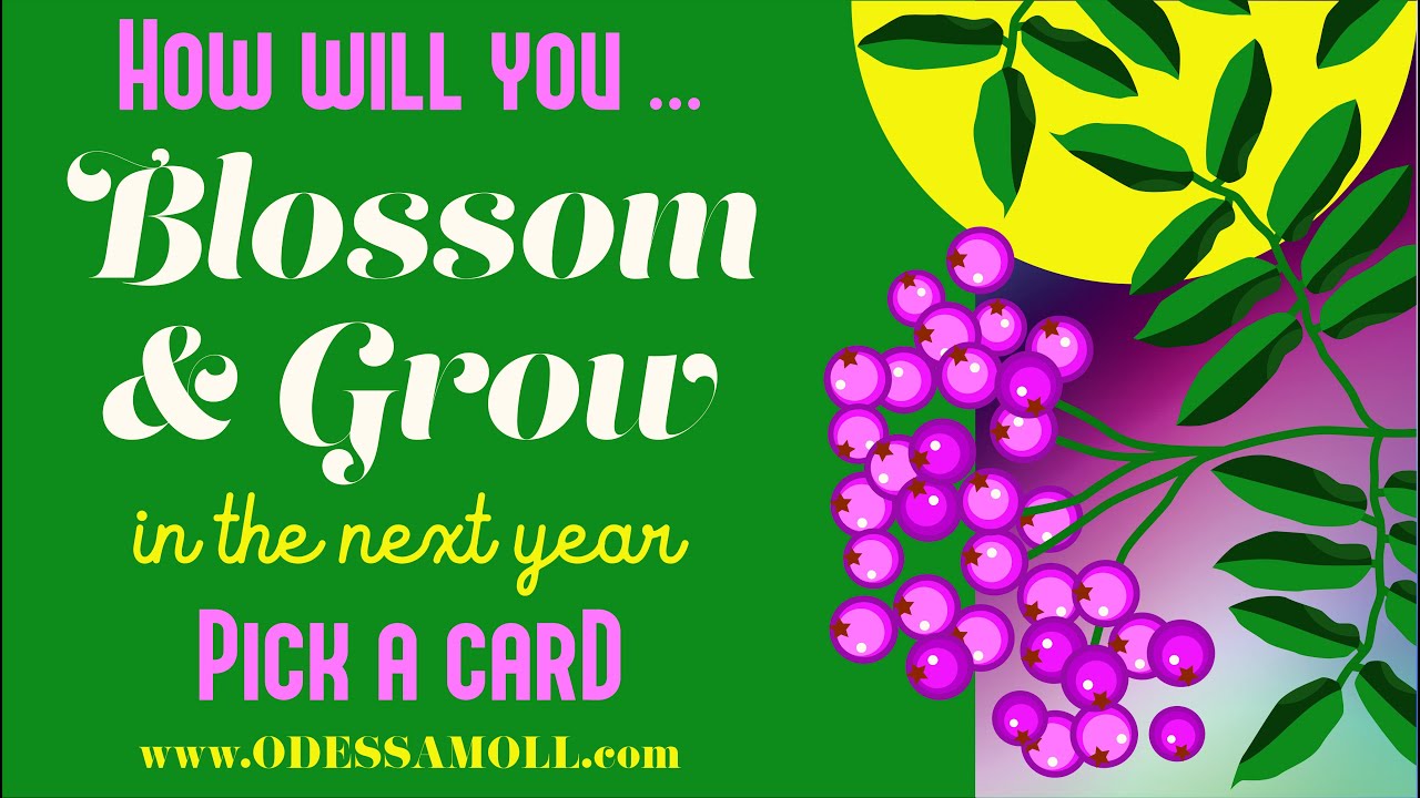 PICK A CARD 🔮 HOW WILL YOU BLOSSOM & GROW IN THE NEXT YEAR 🍀 What TRANSFORMATION is destined for you