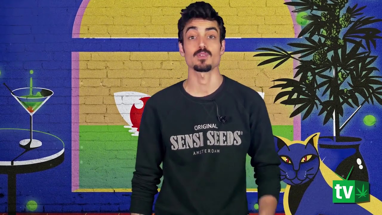 ilumina tu cultivo
