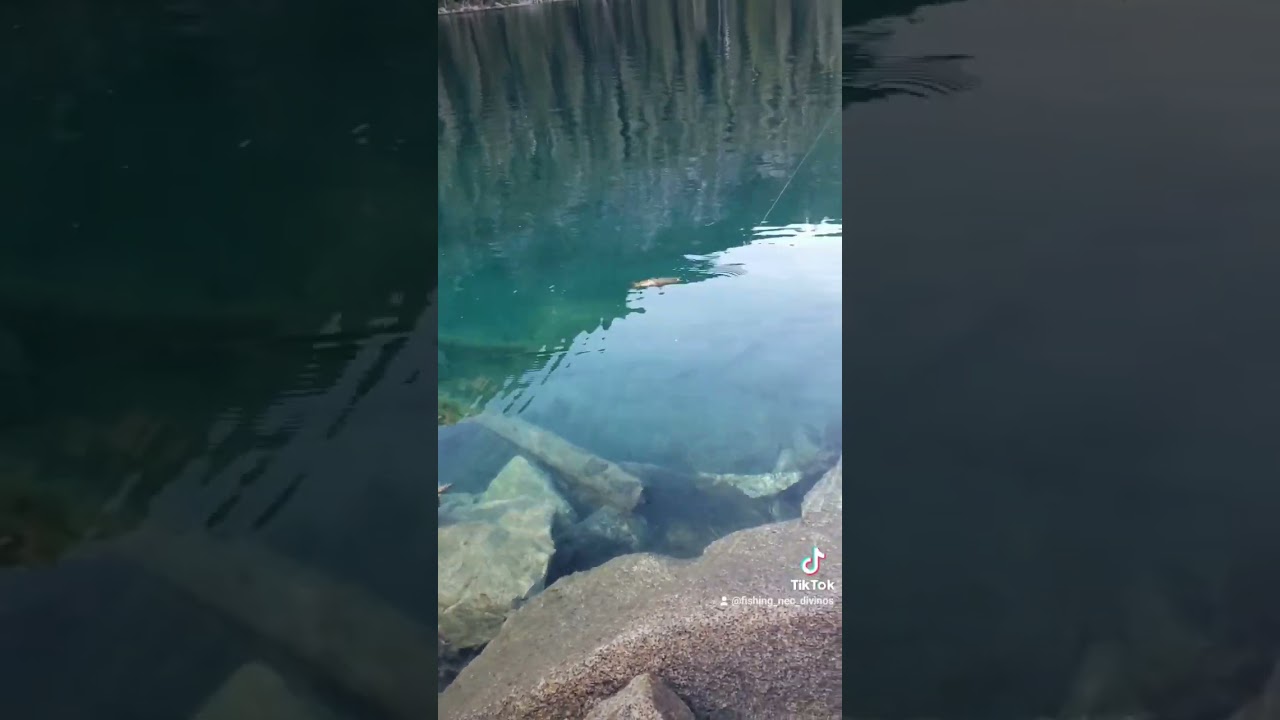 Stunning, beautiful, alpine lake holds #fishing for big #trout