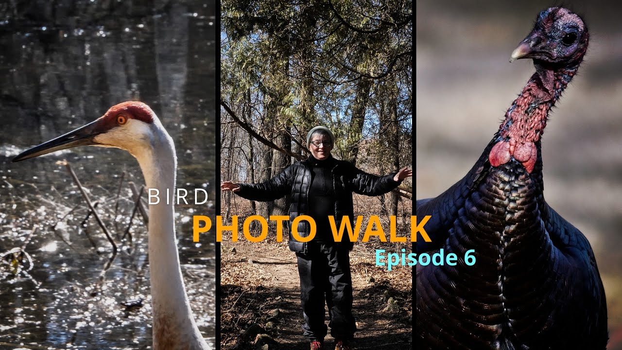 Bird Photo Walk- Episode 6: Love is in the Air