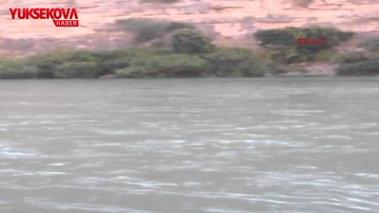 Alkumru Barajı'ndaki can pazarı kamerada!