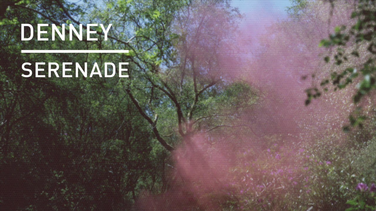 Denney - Serendade (Bushwacka Mix)