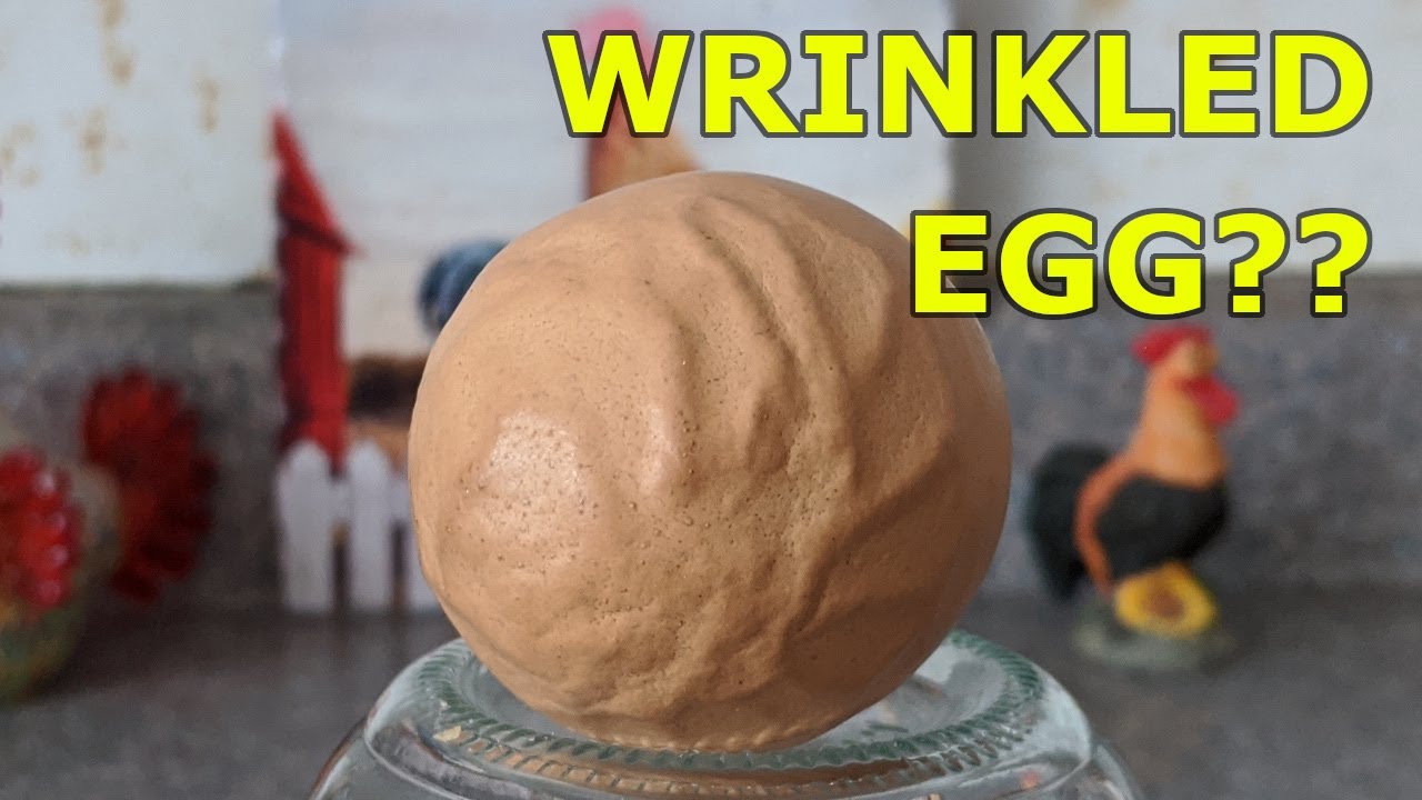 Морщинистые яйца — давайте поговорим о них, а потом съедим!