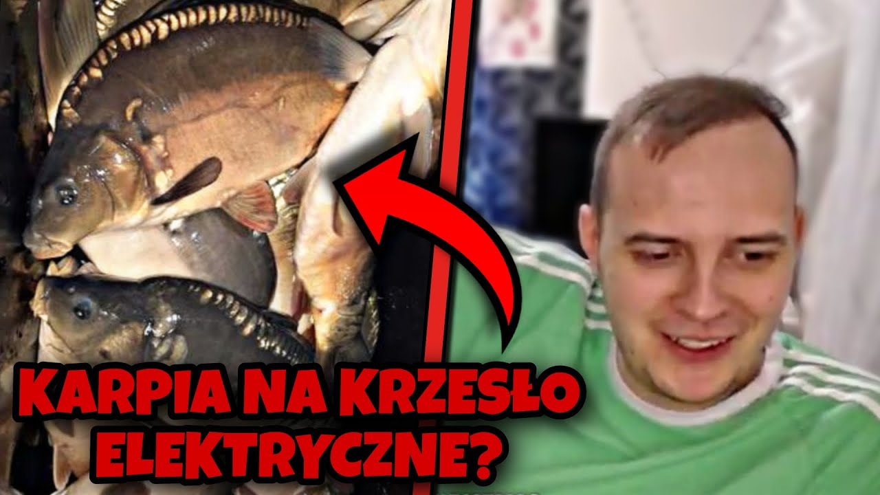 TELEFONY MAHONKA !! (16.12.2022) #mahonek #nazywo #telefony #shoty #live