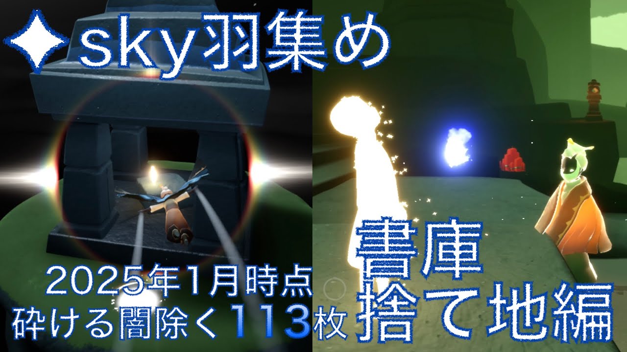 【2025年1月最新版】113枚光の子・羽集めの旅/書庫・捨て地編/初心者向け解説あり【sky 星を紡ぐ子どもたち】