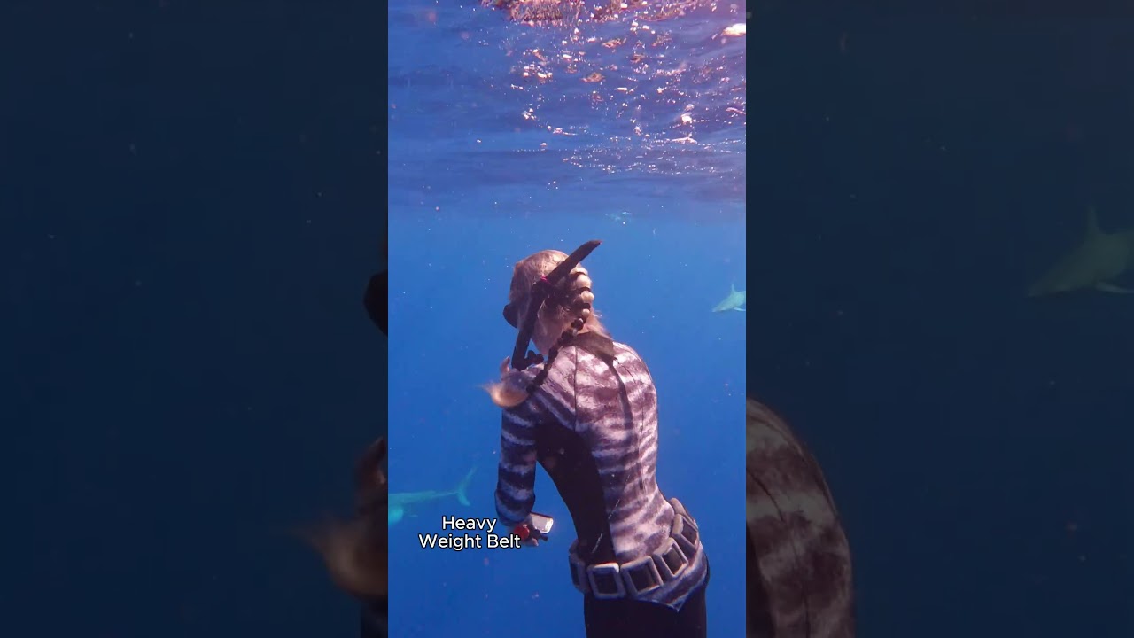 EMERGENCY EXIT & BABY SHARK!! #UnderShark #OceanRamsey #SharkDiving #OneOceanDiving #OMG #Sharks #🦈