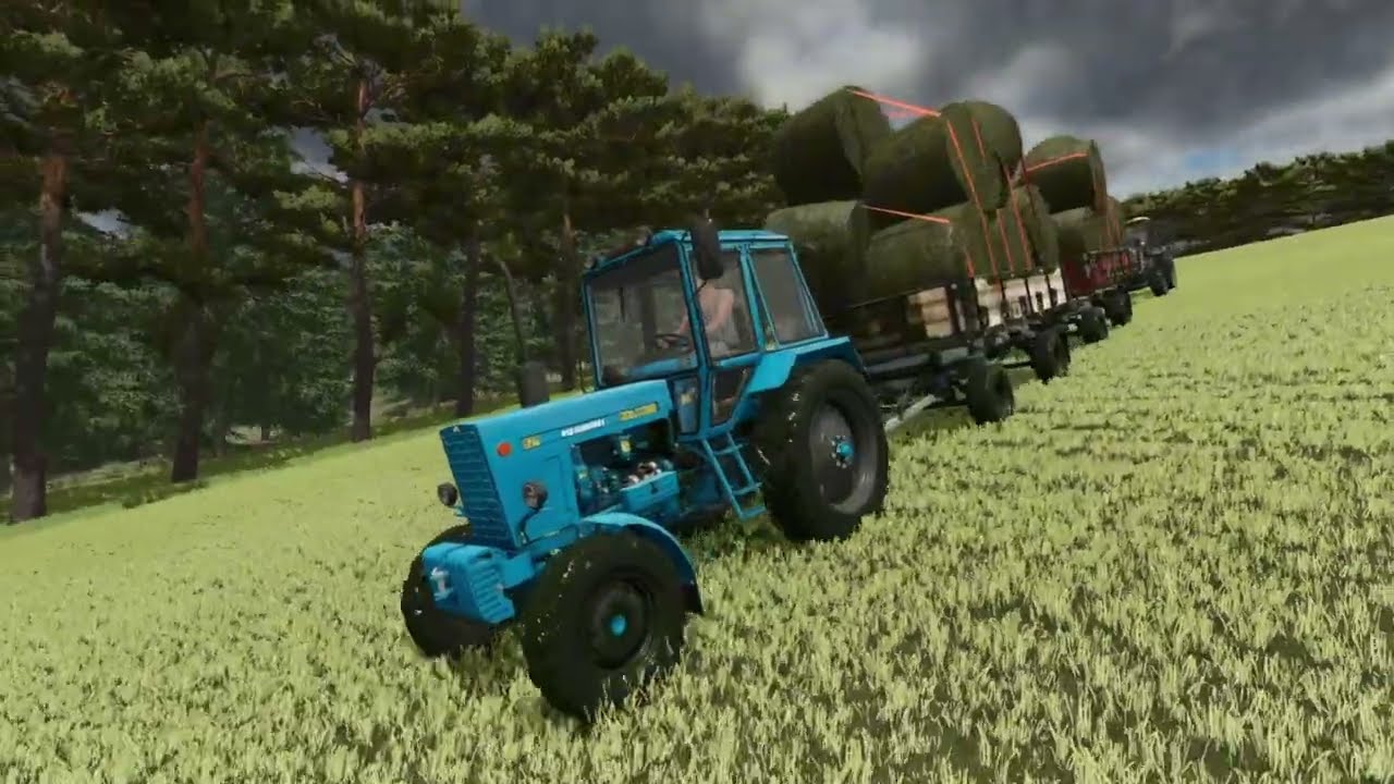 FS 25 Koshmak Дощ Трава МТЗ 82.1 №3