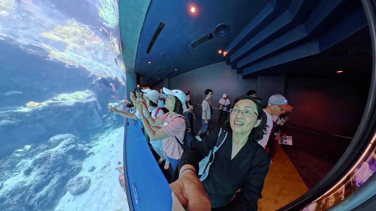 Voyage Across the Pacific Ocean Ep7 A Week in Hiroshima 《橫越太平洋》第七集 沖繩  夜光貝最美味，沒有唯二。水族館有世界最大的鯨鯊