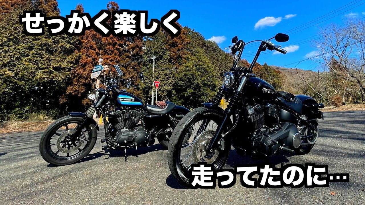 【ハーレー】そんな焦らなくても…【fxbb】